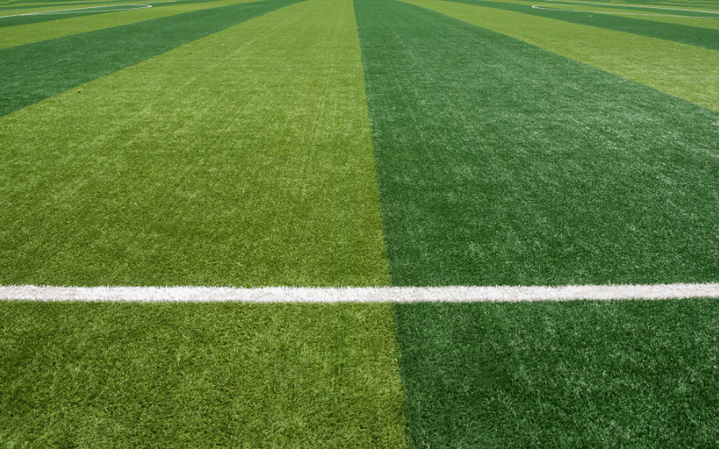 xeriscaping-green-stripes